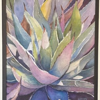 Agave Americana