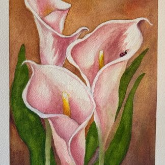Calla Lilly